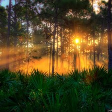 Avatar for Campaigner from gravatar.com