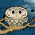 Avatar for v_0ver from gravatar.com