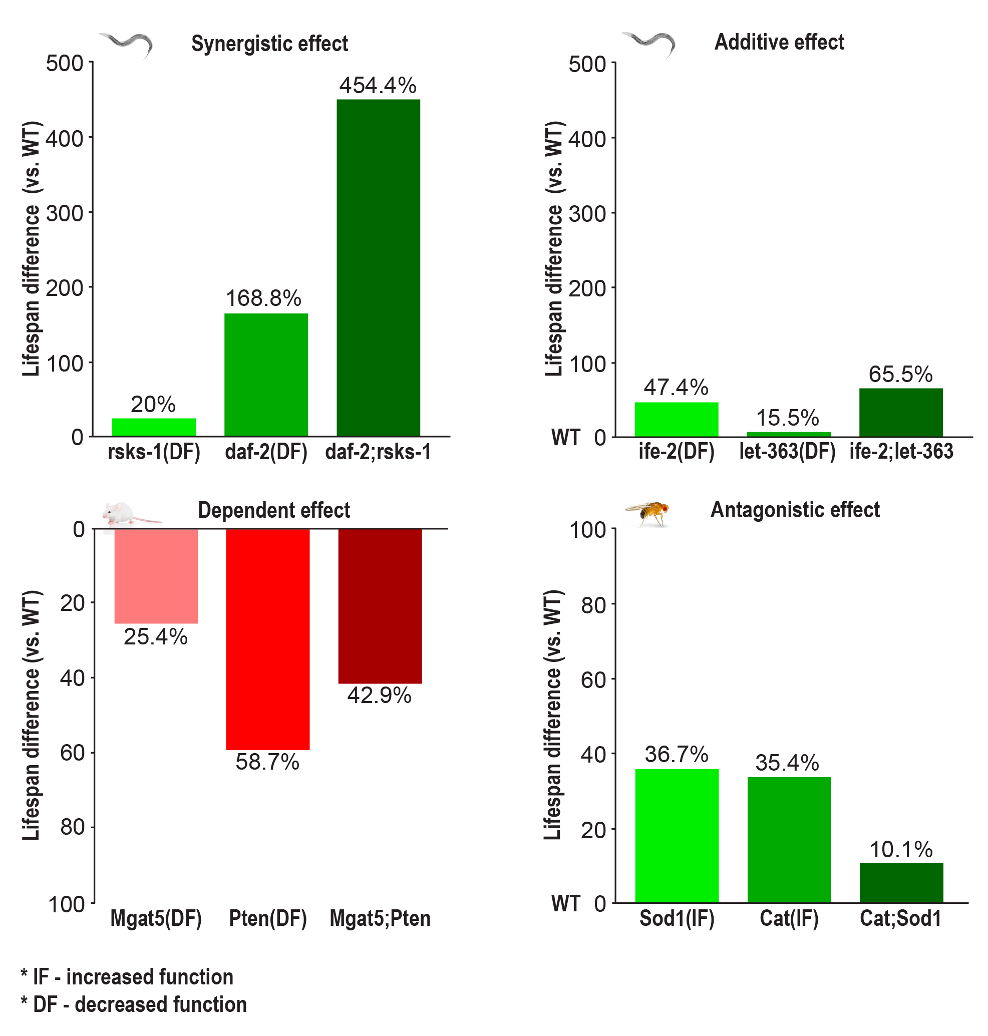 SynergyAge Genetic Interactions