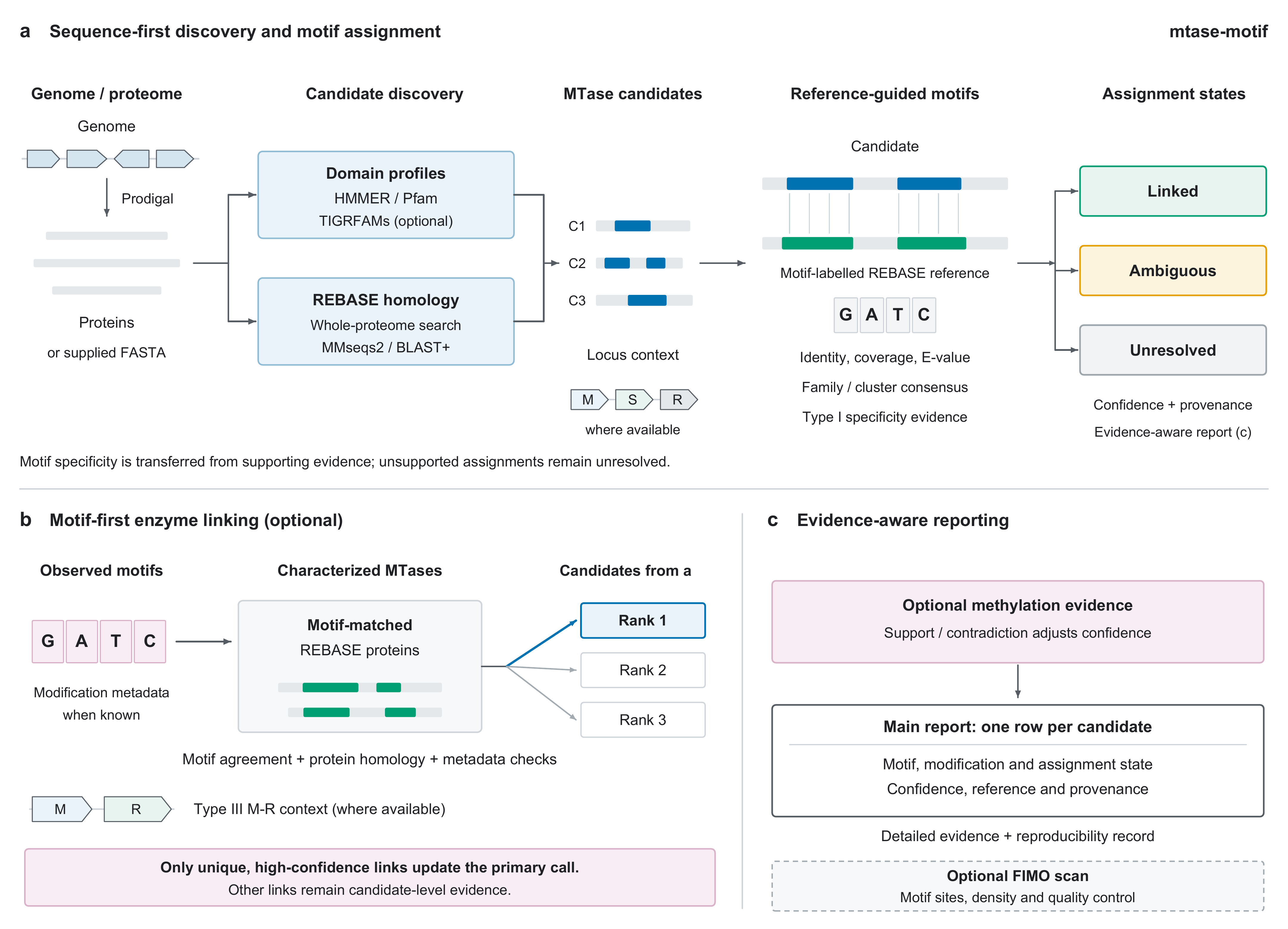 Three-panel workflow: sequence-first MTase discovery and motif assignment, optional motif-first enzyme linking, and evidence-aware reporting.