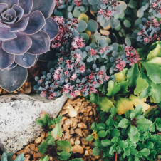 Avatar for Dialid Santiago Ramirez from gravatar.com