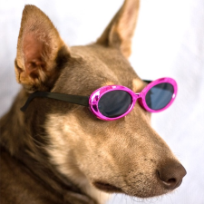 Avatar for Jackson from gravatar.com