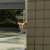 Avatar for 67au from gravatar.com