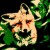 Avatar for fengkx from gravatar.com