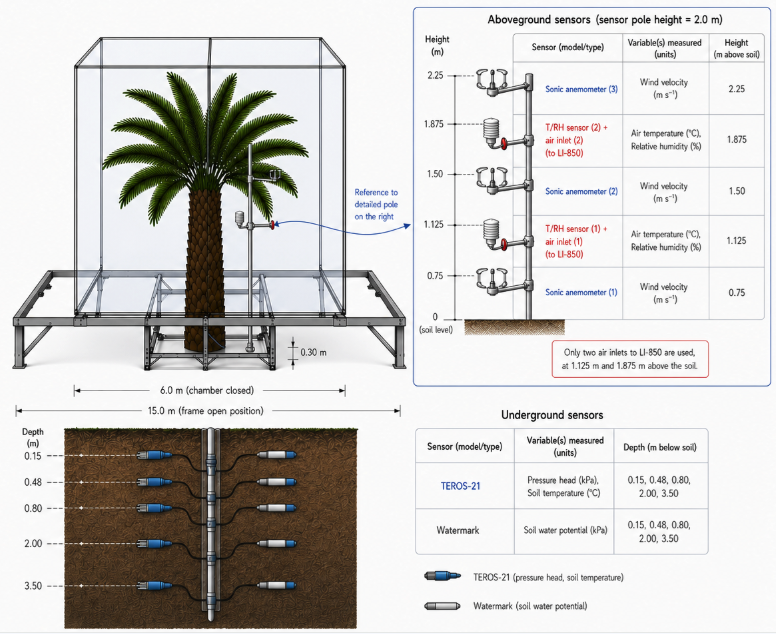 Example whole-tree flux chamber — the LIBZ deployment in Riau, Indonesia. Other implementations may differ in dimensions, tree species, sensor layout, and instrumentation.