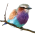 Avatar for iKevinY from gravatar.com