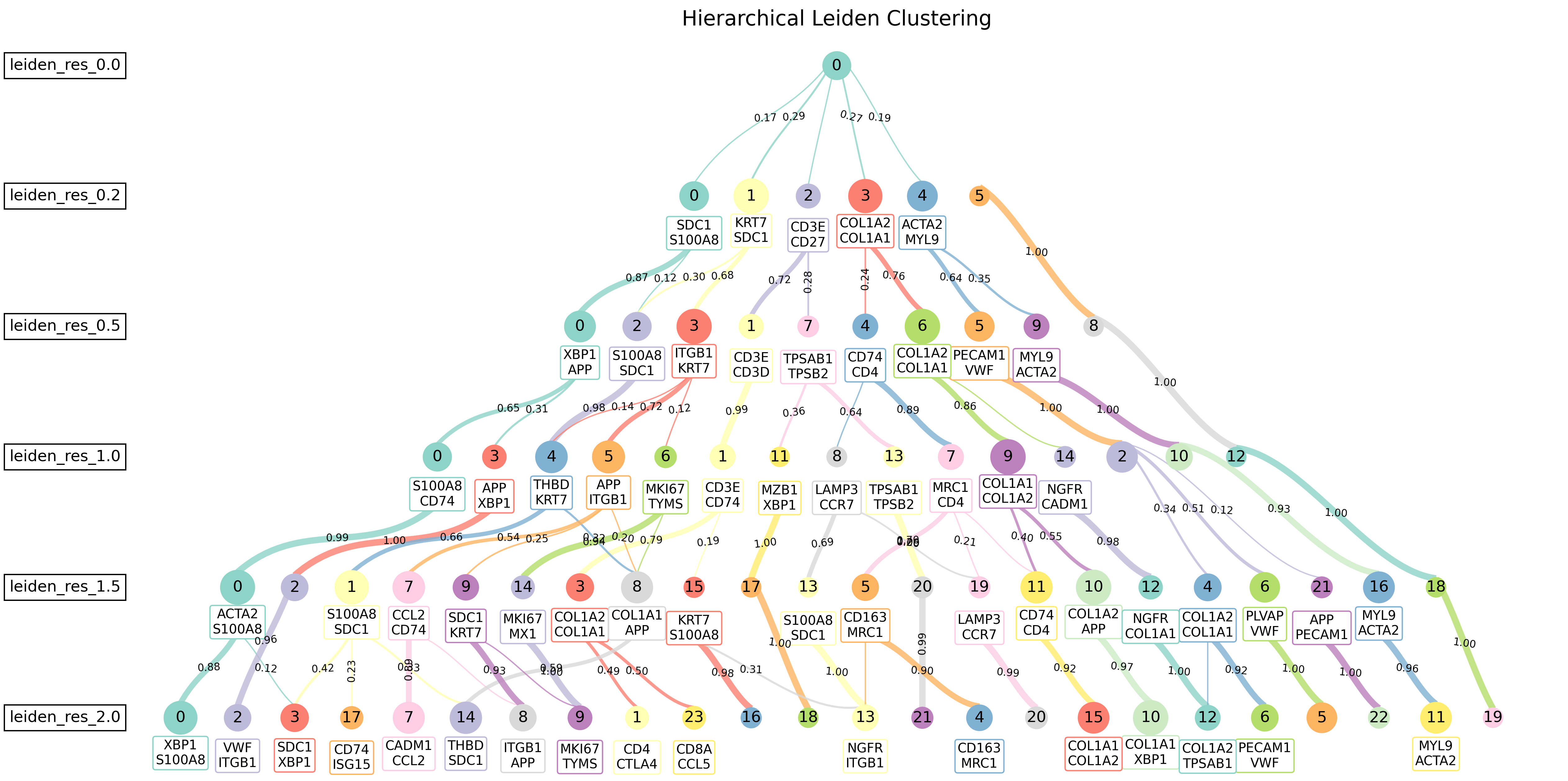 Example cluster tree showing hierarchical relationships