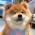 Avatar for little_huang from gravatar.com