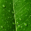 Avatar for lyhiving from gravatar.com