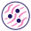 Avatar for tialab from gravatar.com