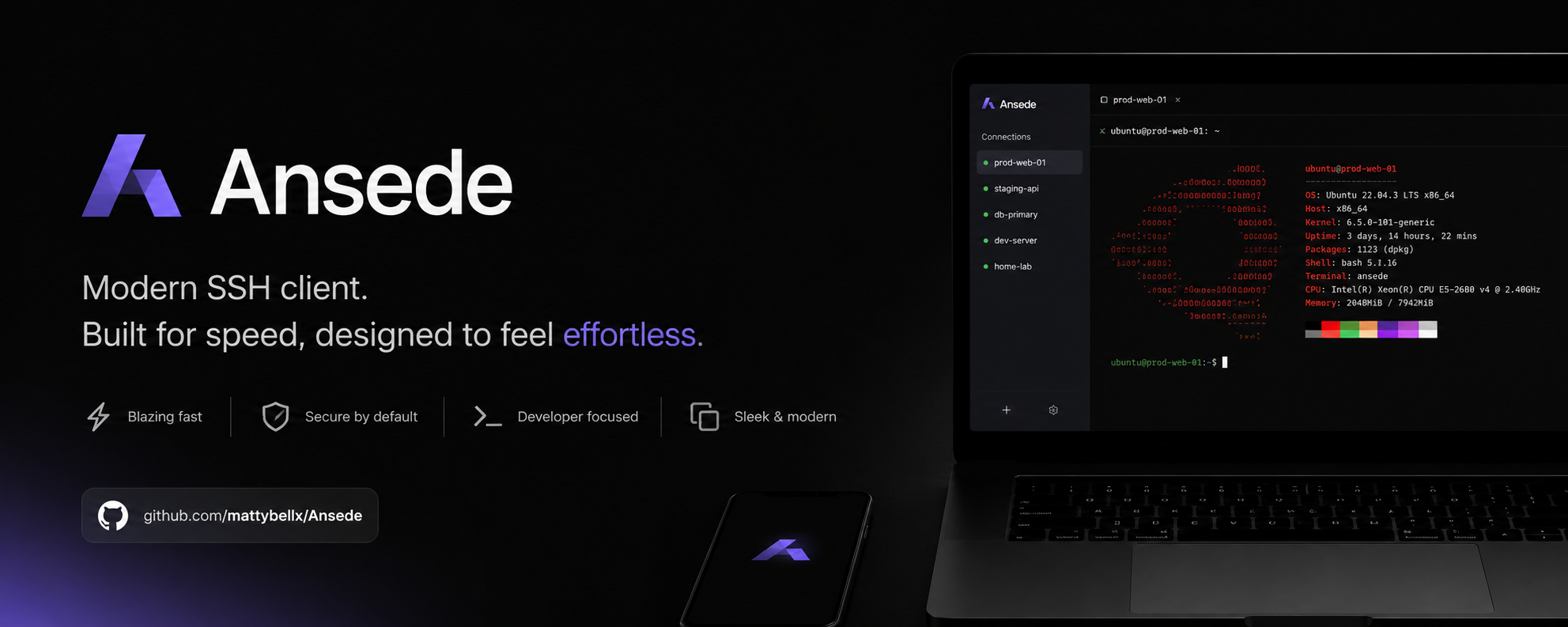 Ansede Static — World's Best Offline SAST