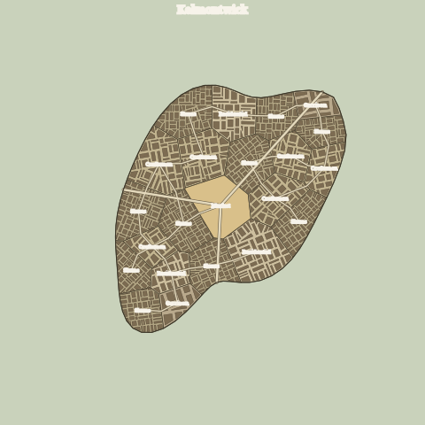 poor, dense, irregular shantytown