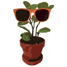 Avatar for David Graham from gravatar.com