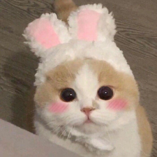 Avatar for junhaoWang from gravatar.com