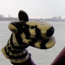 Avatar for Emily.Dolson from gravatar.com