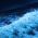 Avatar for BlueWaterMacroCorp from gravatar.com