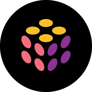 Pulumi Provider Logo