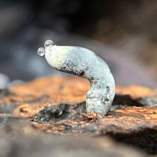 Avatar for Alice Serene from gravatar.com