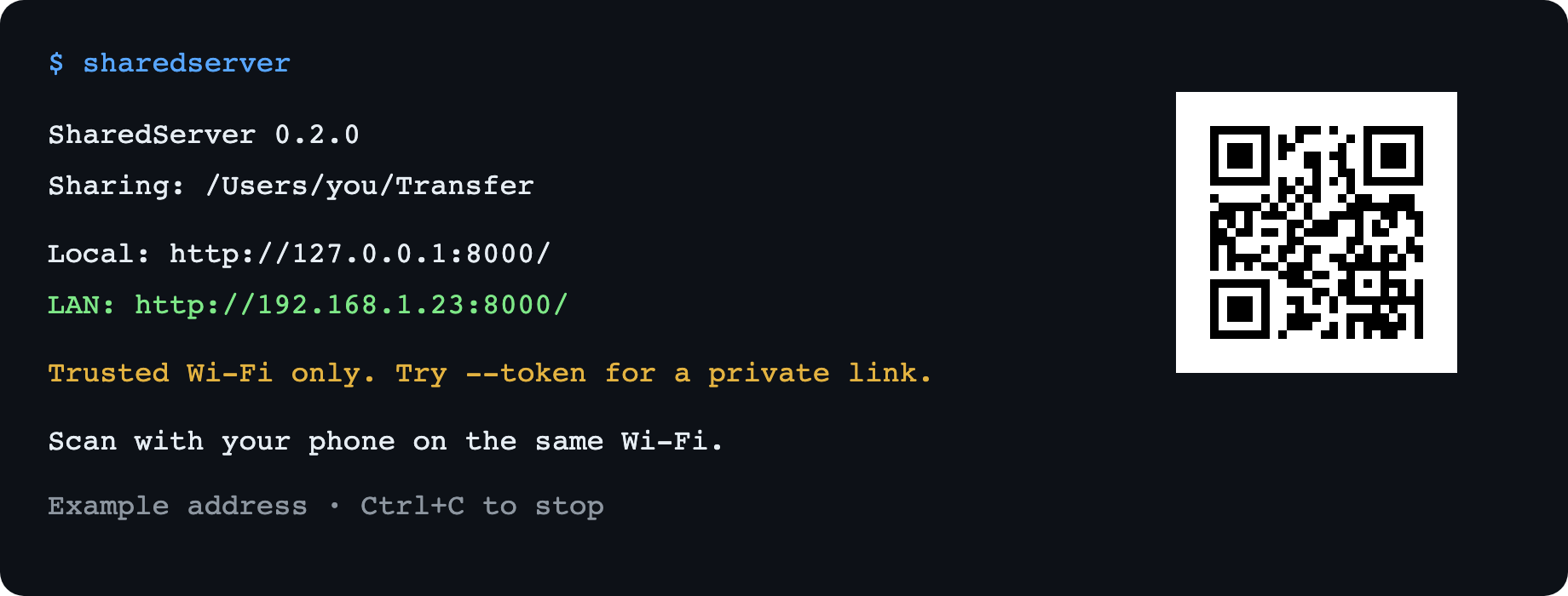 Example terminal output with a LAN link and QR code