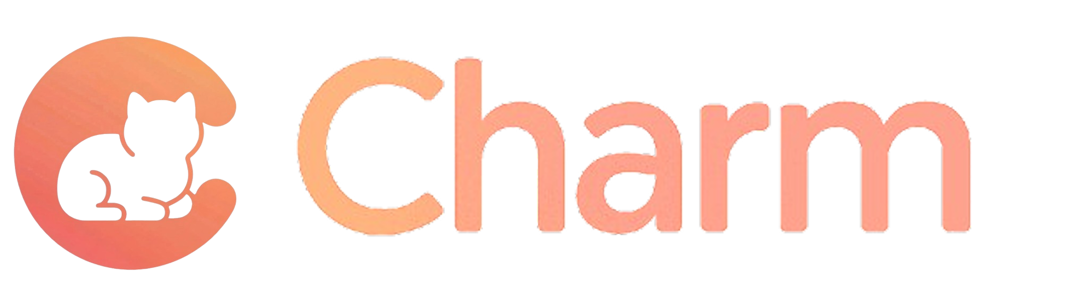 Charm Banner