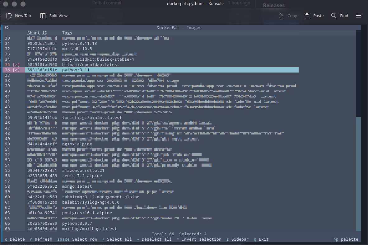dockerpal