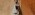 Avatar for banhmysuawx from gravatar.com