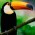 Avatar for zangobot from gravatar.com