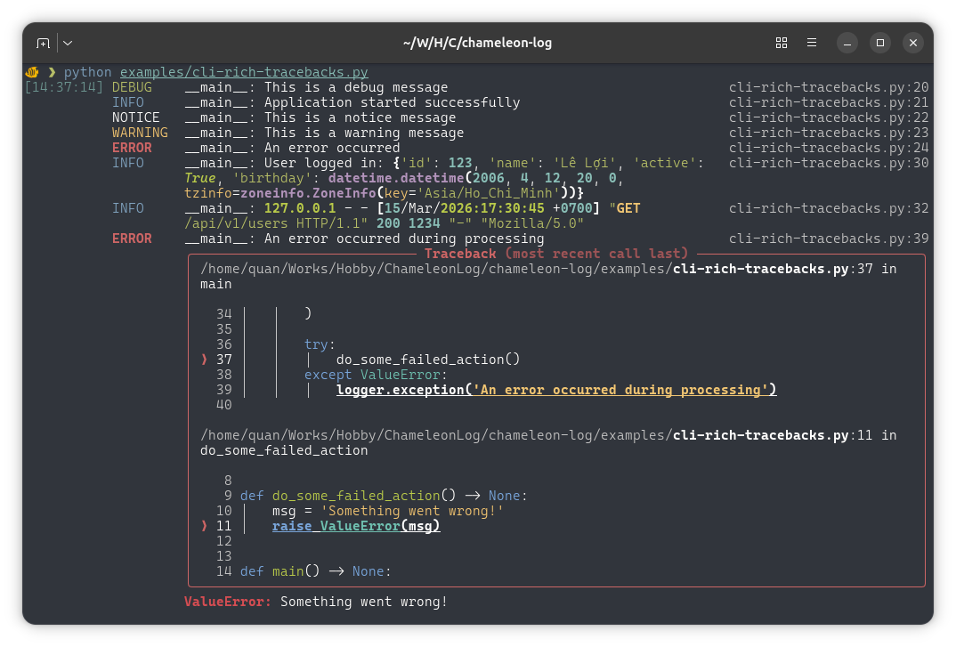 Rich Handler Output