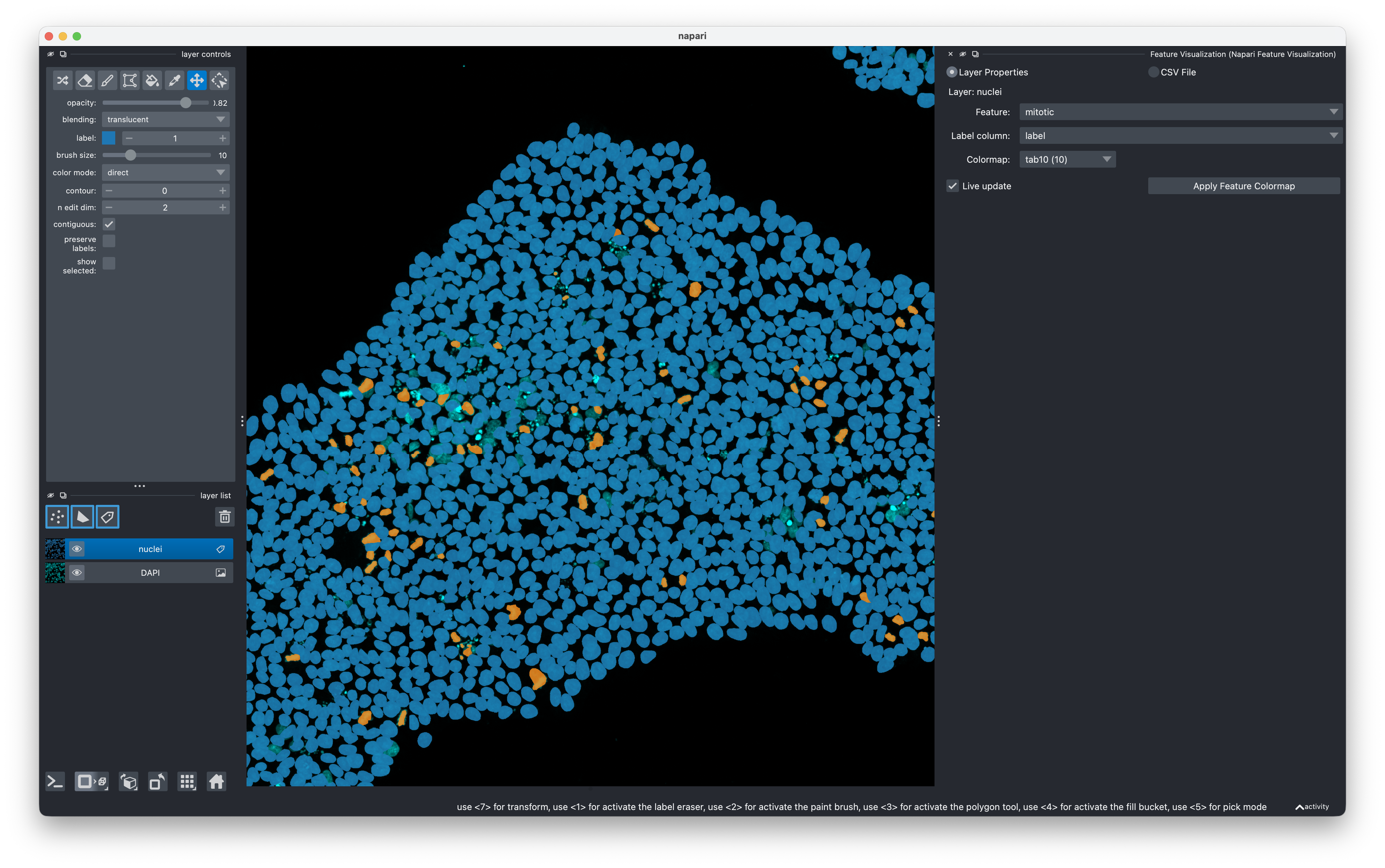 feature_viz_categorical