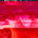 Avatar for laika from gravatar.com