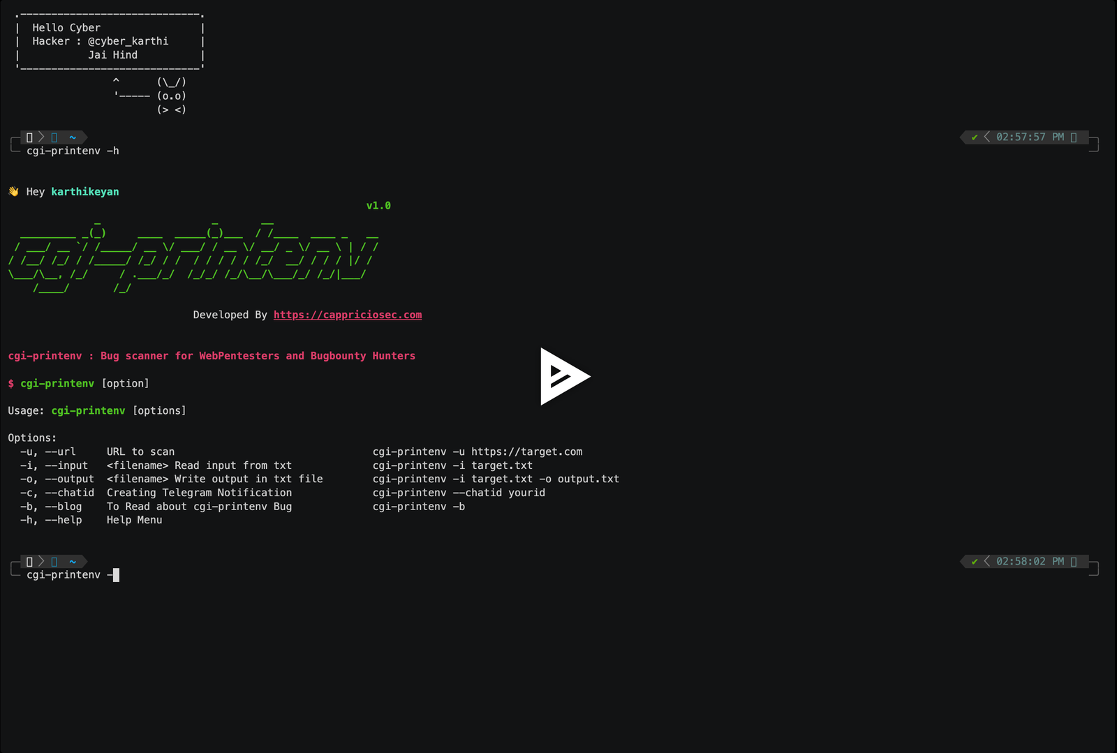 asciicast