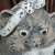 Avatar for salmonsnare from gravatar.com