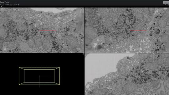 Real-time data processing visualization