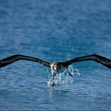 Avatar for DeKaN from gravatar.com