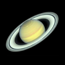 Avatar for Michael Loyd from gravatar.com