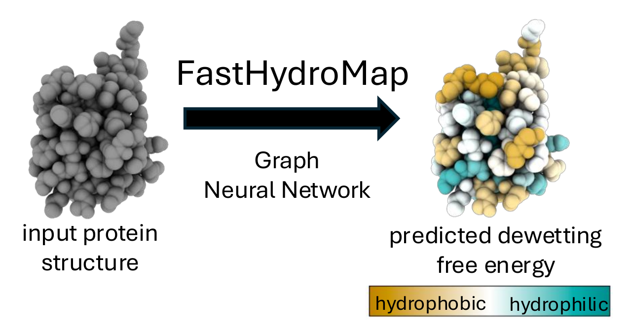 FastHydroMap overview