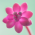 Avatar for tython from gravatar.com