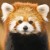 Avatar for Junduck from gravatar.com