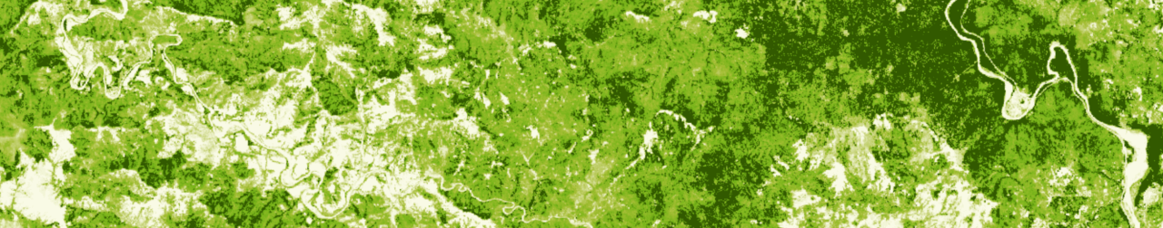 Canopy Height