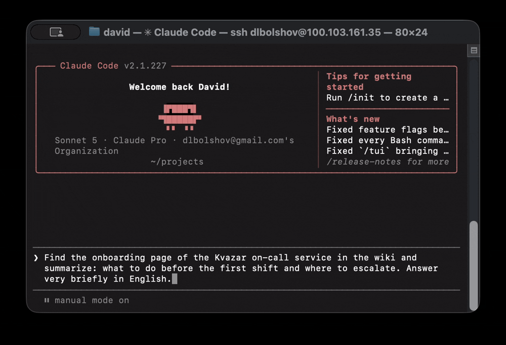 Demo: search a wiki page and summarize it via MCP