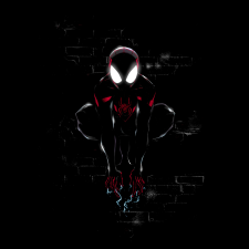 Avatar for Probin Dhakal from gravatar.com