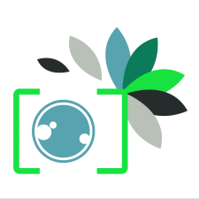 Avatar for CVision AI from gravatar.com