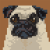 Avatar for jelies from gravatar.com