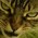 Avatar for kasshuang from gravatar.com