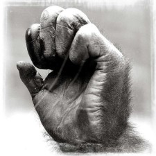 Avatar for thomasfillon from gravatar.com