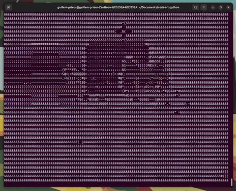 Example with the Nyan Cat video played in a terminal.