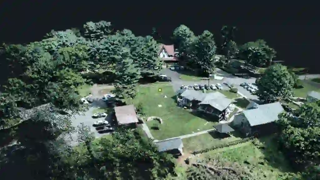 Large colorized LiDAR point cloud rendered with Datoviz