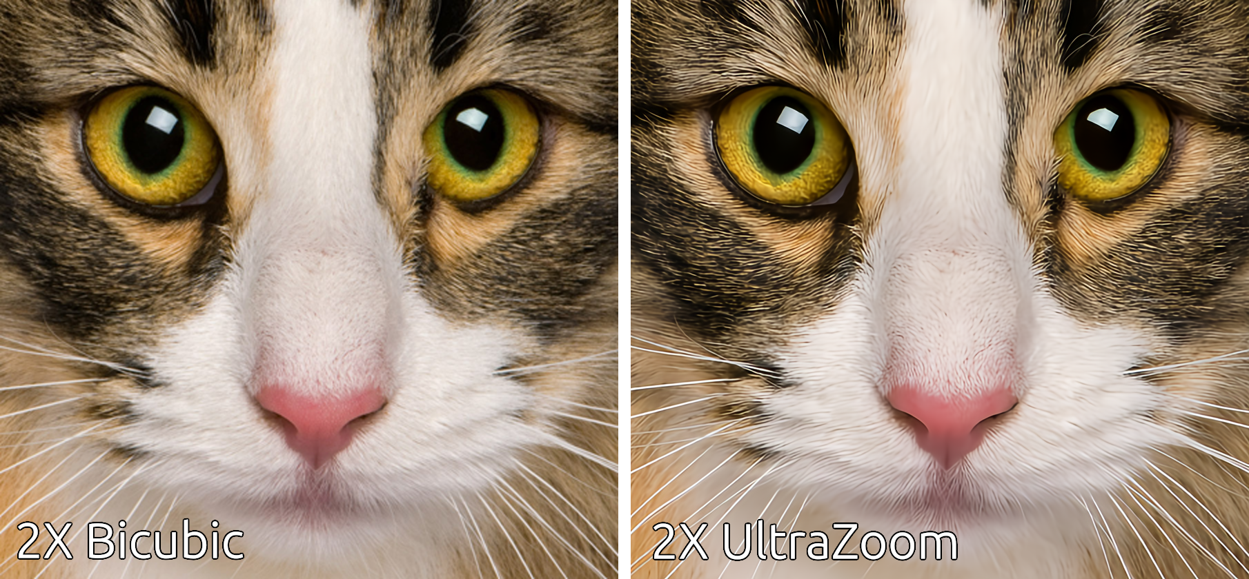 MewZoom 2X Comparison