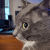 Avatar for carterleehaney from gravatar.com