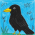 Avatar for rodisoft from gravatar.com